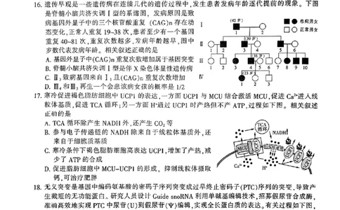 江苏省南通市2024-2025学年高三上学期第一次调研测试生物+答案_2025年1月_250118江苏省南通市2024-2025学年高三上学期一模（南通+泰州+镇江+盐城部分学校）（全科）