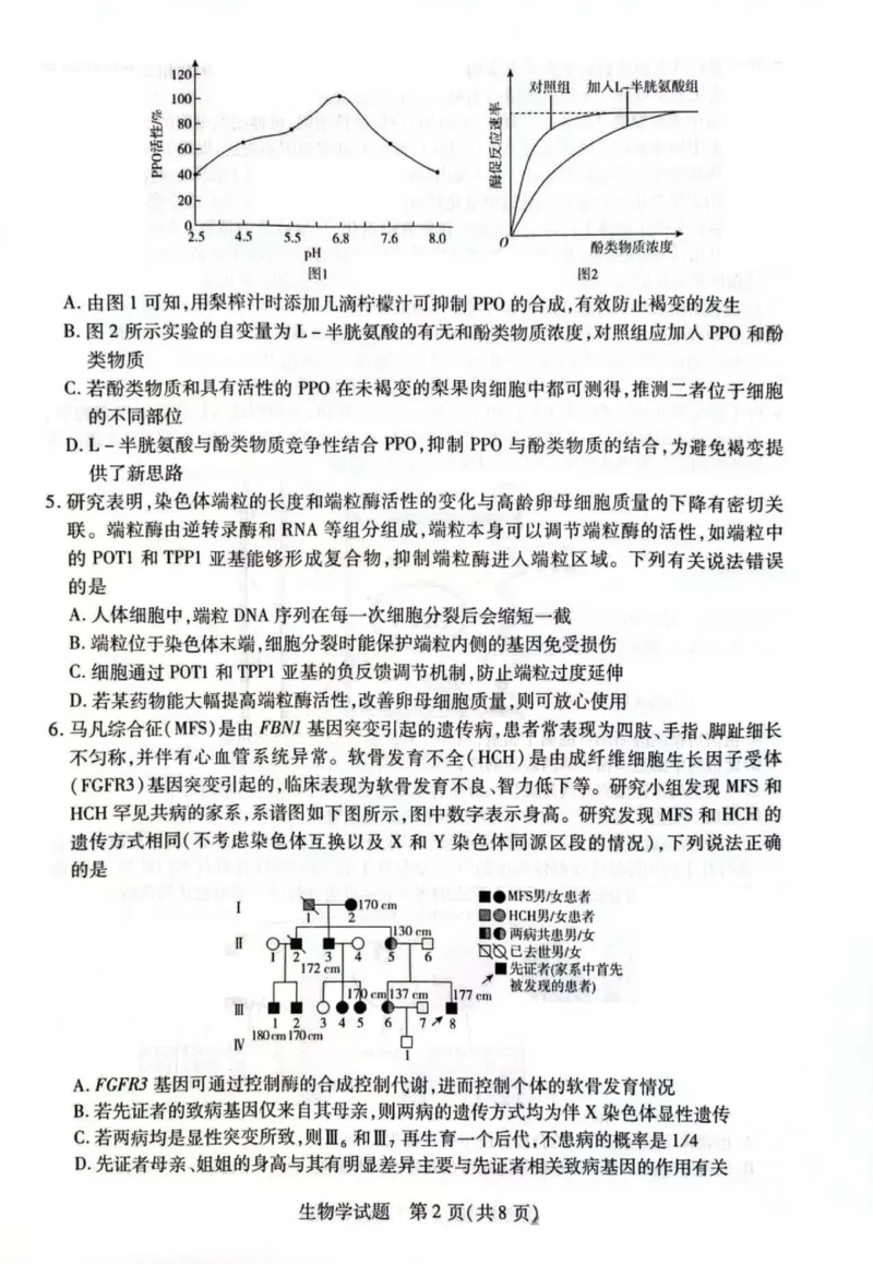 天一大联考25届高三生物最后一卷_2025年5月_2505262025届安徽省天一大联考高三下学期最后一卷（全科）_2025届安徽省天一大联考高三下学期最后一卷生物