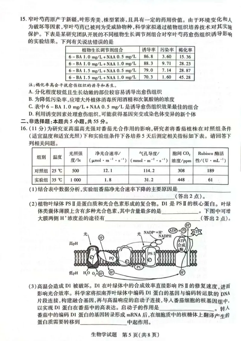 天一大联考25届高三生物最后一卷_2025年5月_2505262025届安徽省天一大联考高三下学期最后一卷（全科）_2025届安徽省天一大联考高三下学期最后一卷生物