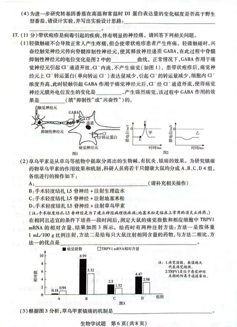 天一大联考25届高三生物最后一卷_2025年5月_2505262025届安徽省天一大联考高三下学期最后一卷（全科）_2025届安徽省天一大联考高三下学期最后一卷生物