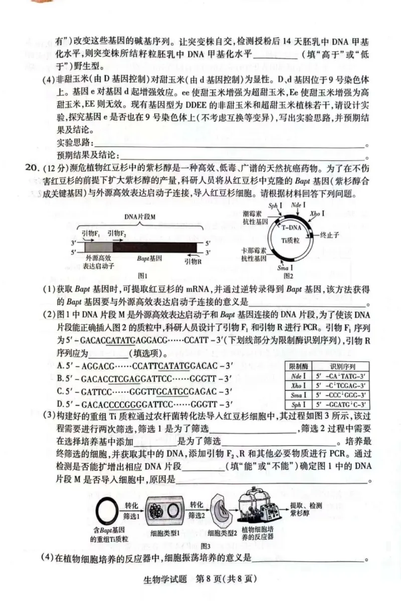 天一大联考25届高三生物最后一卷_2025年5月_2505262025届安徽省天一大联考高三下学期最后一卷（全科）_2025届安徽省天一大联考高三下学期最后一卷生物