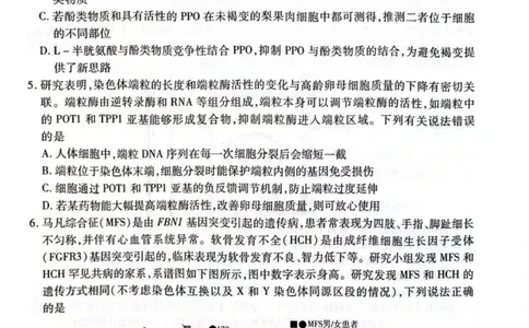 天一大联考25届高三生物最后一卷_2025年5月_2505262025届安徽省天一大联考高三下学期最后一卷（全科）_2025届安徽省天一大联考高三下学期最后一卷生物