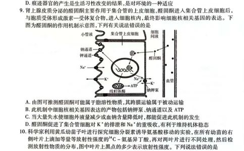天一大联考25届高三生物最后一卷_2025年5月_2505262025届安徽省天一大联考高三下学期最后一卷（全科）_2025届安徽省天一大联考高三下学期最后一卷生物
