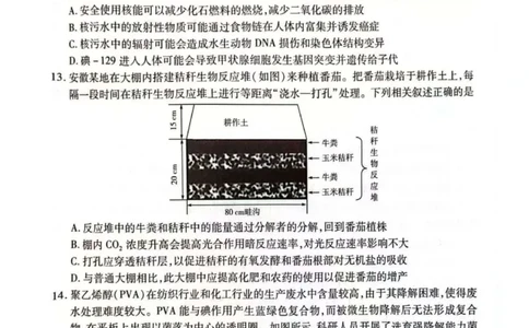 天一大联考25届高三生物最后一卷_2025年5月_2505262025届安徽省天一大联考高三下学期最后一卷（全科）_2025届安徽省天一大联考高三下学期最后一卷生物