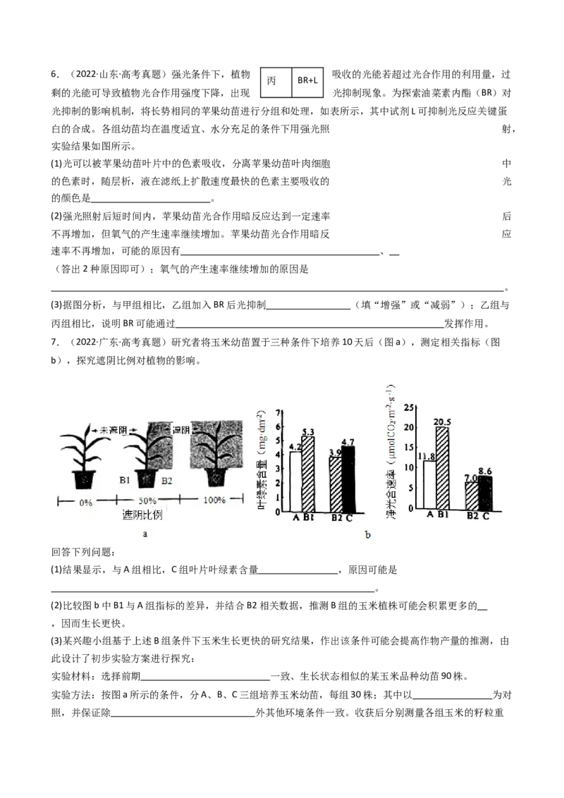 专题06光合作用（原卷卷）_近10年高考真题汇编（必刷）_十年（2014-2024）高考生物真题分项汇编（全国通用）_十年（2014-2023）高考生物真题分项汇编（全国通用）