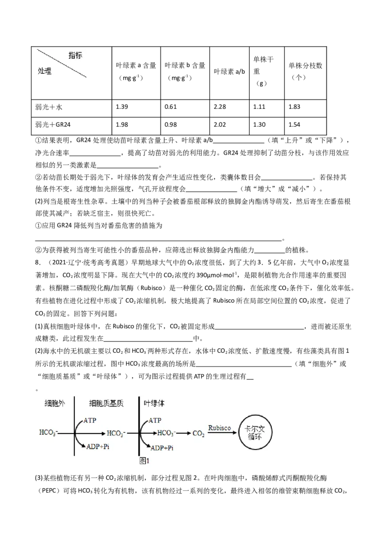 专题06光合作用（原卷卷）_近10年高考真题汇编（必刷）_十年（2014-2024）高考生物真题分项汇编（全国通用）_十年（2014-2023）高考生物真题分项汇编（全国通用）