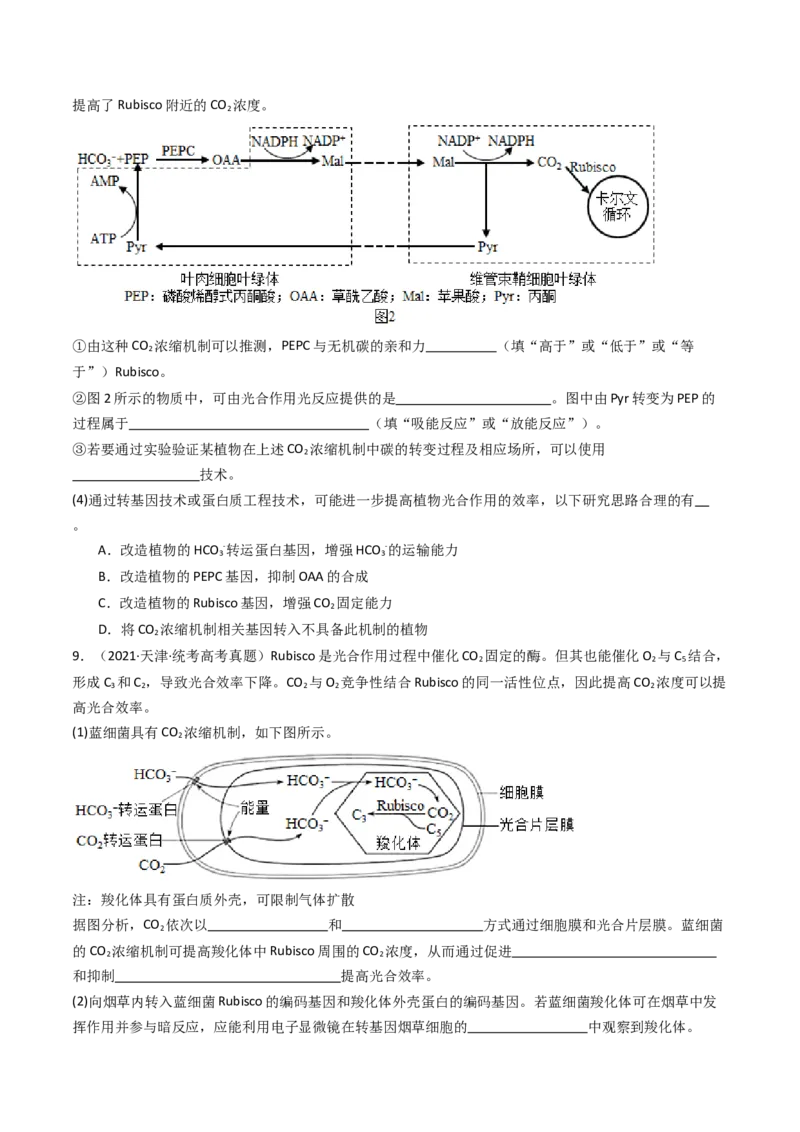 专题06光合作用（原卷卷）_近10年高考真题汇编（必刷）_十年（2014-2024）高考生物真题分项汇编（全国通用）_十年（2014-2023）高考生物真题分项汇编（全国通用）