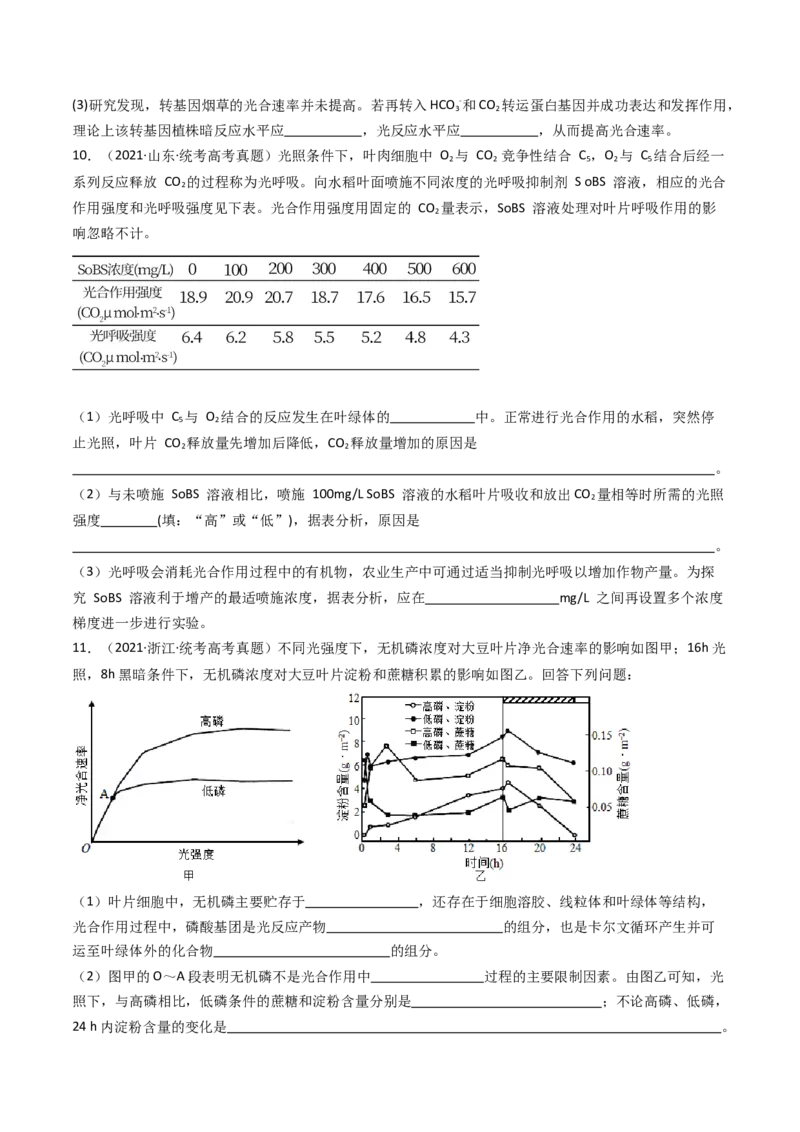专题06光合作用（原卷卷）_近10年高考真题汇编（必刷）_十年（2014-2024）高考生物真题分项汇编（全国通用）_十年（2014-2023）高考生物真题分项汇编（全国通用）