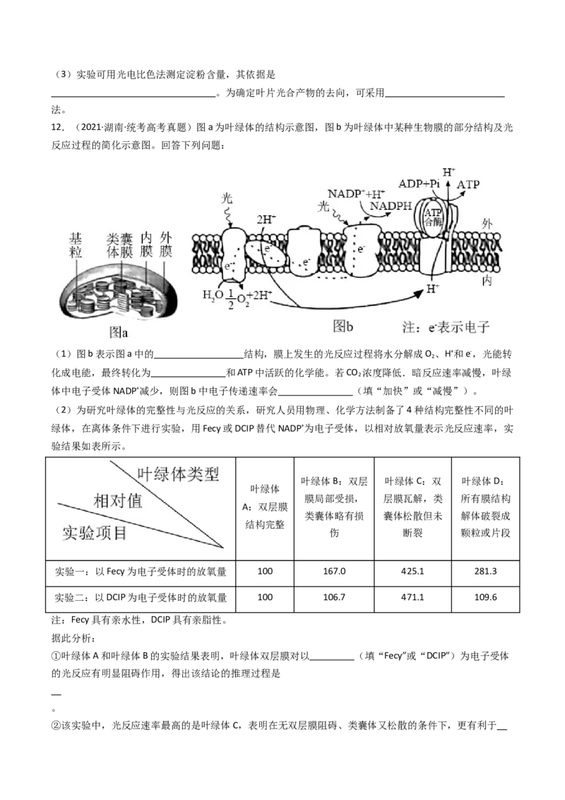 专题06光合作用（原卷卷）_近10年高考真题汇编（必刷）_十年（2014-2024）高考生物真题分项汇编（全国通用）_十年（2014-2023）高考生物真题分项汇编（全国通用）