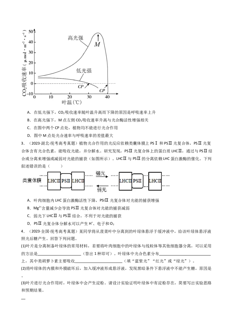 专题06光合作用（原卷卷）_近10年高考真题汇编（必刷）_十年（2014-2024）高考生物真题分项汇编（全国通用）_十年（2014-2023）高考生物真题分项汇编（全国通用）