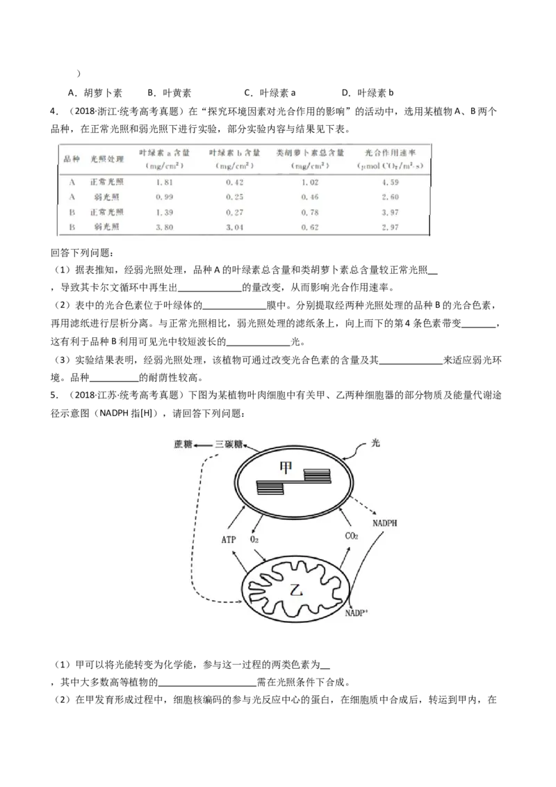 专题06光合作用（原卷卷）_近10年高考真题汇编（必刷）_十年（2014-2024）高考生物真题分项汇编（全国通用）_十年（2014-2023）高考生物真题分项汇编（全国通用）