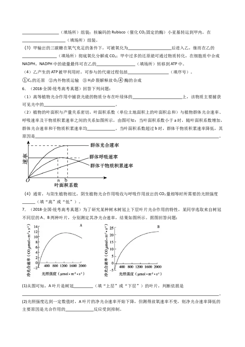专题06光合作用（原卷卷）_近10年高考真题汇编（必刷）_十年（2014-2024）高考生物真题分项汇编（全国通用）_十年（2014-2023）高考生物真题分项汇编（全国通用）