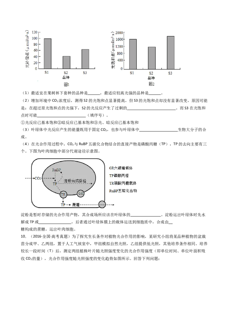 专题06光合作用（原卷卷）_近10年高考真题汇编（必刷）_十年（2014-2024）高考生物真题分项汇编（全国通用）_十年（2014-2023）高考生物真题分项汇编（全国通用）