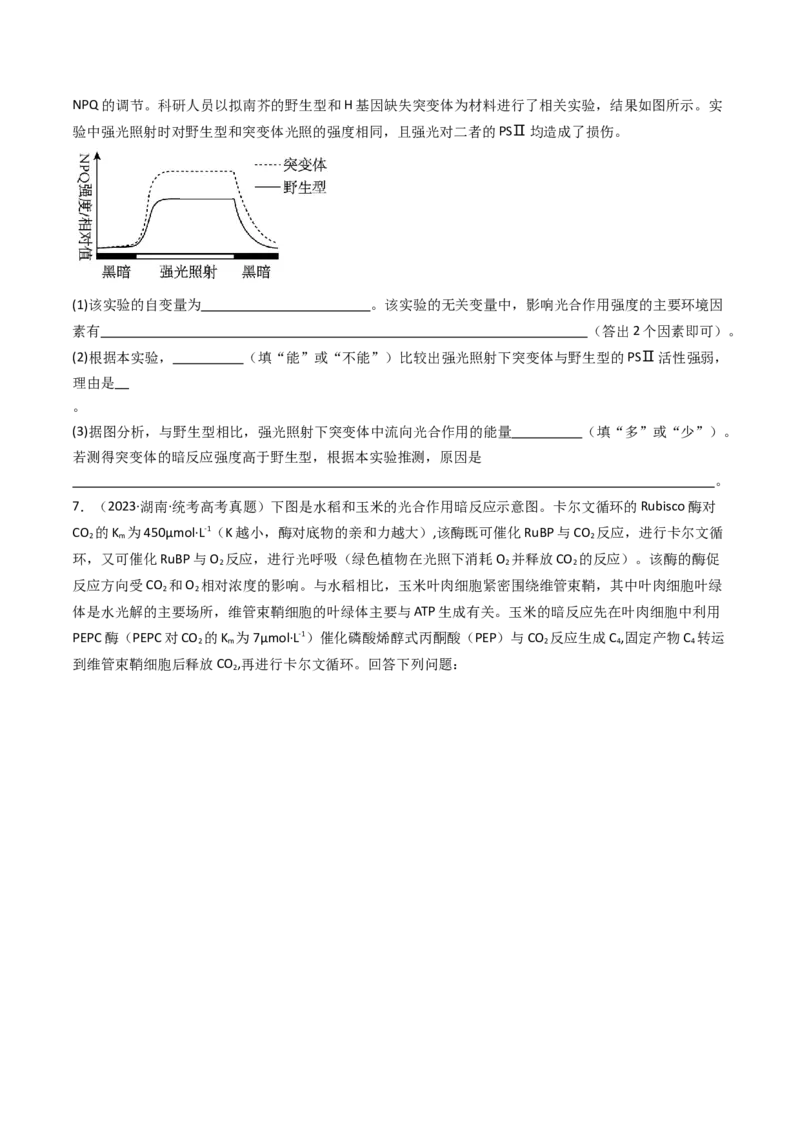 专题06光合作用（原卷卷）_近10年高考真题汇编（必刷）_十年（2014-2024）高考生物真题分项汇编（全国通用）_十年（2014-2023）高考生物真题分项汇编（全国通用）