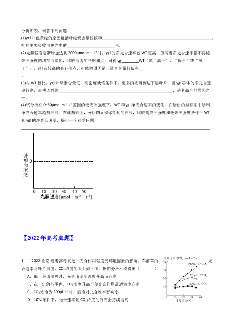 专题06光合作用（原卷卷）_近10年高考真题汇编（必刷）_十年（2014-2024）高考生物真题分项汇编（全国通用）_十年（2014-2023）高考生物真题分项汇编（全国通用）