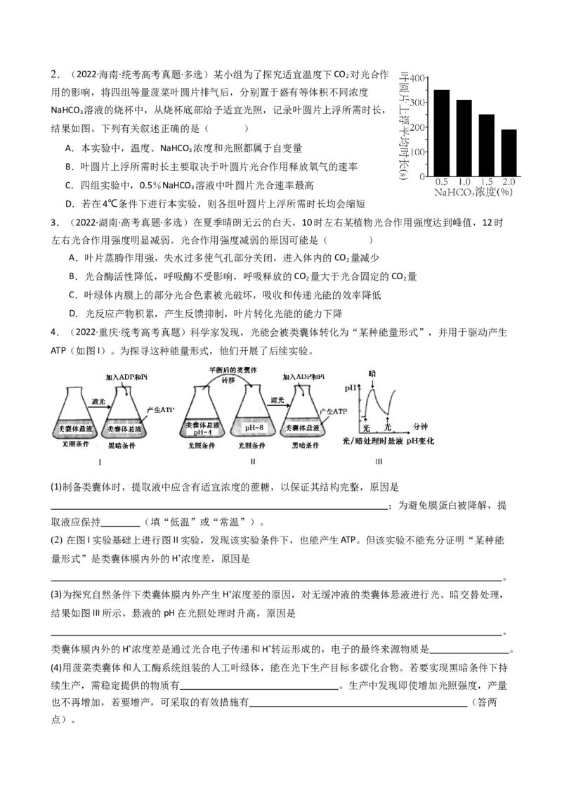 专题06光合作用（原卷卷）_近10年高考真题汇编（必刷）_十年（2014-2024）高考生物真题分项汇编（全国通用）_十年（2014-2023）高考生物真题分项汇编（全国通用）