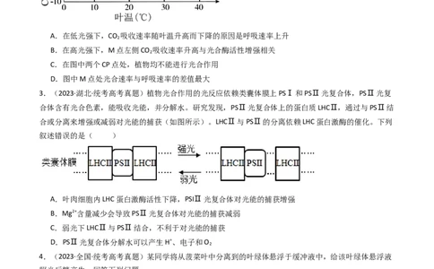 专题06光合作用（原卷卷）_近10年高考真题汇编（必刷）_十年（2014-2024）高考生物真题分项汇编（全国通用）_十年（2014-2023）高考生物真题分项汇编（全国通用）