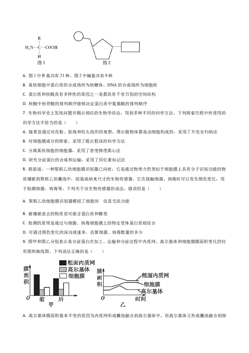 吉林省梅河口市第五中学2026届高三上学期开学考试生物Word版含答案_2025年9月_250912吉林省梅河口市第五中学2026届高三上学期开学考试（全科）