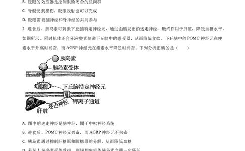 吉林省梅河口市第五中学2026届高三上学期开学考试生物Word版含答案_2025年9月_250912吉林省梅河口市第五中学2026届高三上学期开学考试（全科）