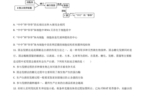 吉林省梅河口市第五中学2026届高三上学期开学考试生物Word版含答案_2025年9月_250912吉林省梅河口市第五中学2026届高三上学期开学考试（全科）