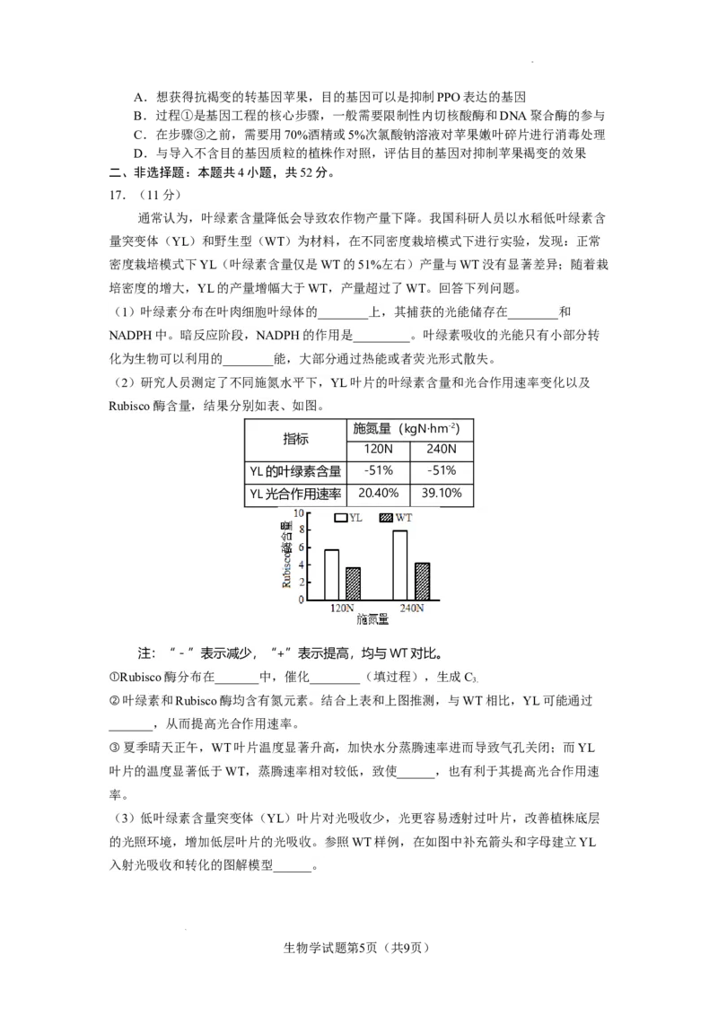 生物学试题_2025年8月_250816云南省玉溪第一中学2025-2026学年高三上学期适应性测试（一）（全科）_云南省玉溪第一中学2026届高三上学期适应性测试（一）生物