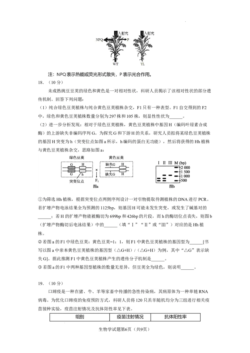 生物学试题_2025年8月_250816云南省玉溪第一中学2025-2026学年高三上学期适应性测试（一）（全科）_云南省玉溪第一中学2026届高三上学期适应性测试（一）生物