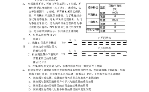 生物学试题_2025年8月_250816云南省玉溪第一中学2025-2026学年高三上学期适应性测试（一）（全科）_云南省玉溪第一中学2026届高三上学期适应性测试（一）生物