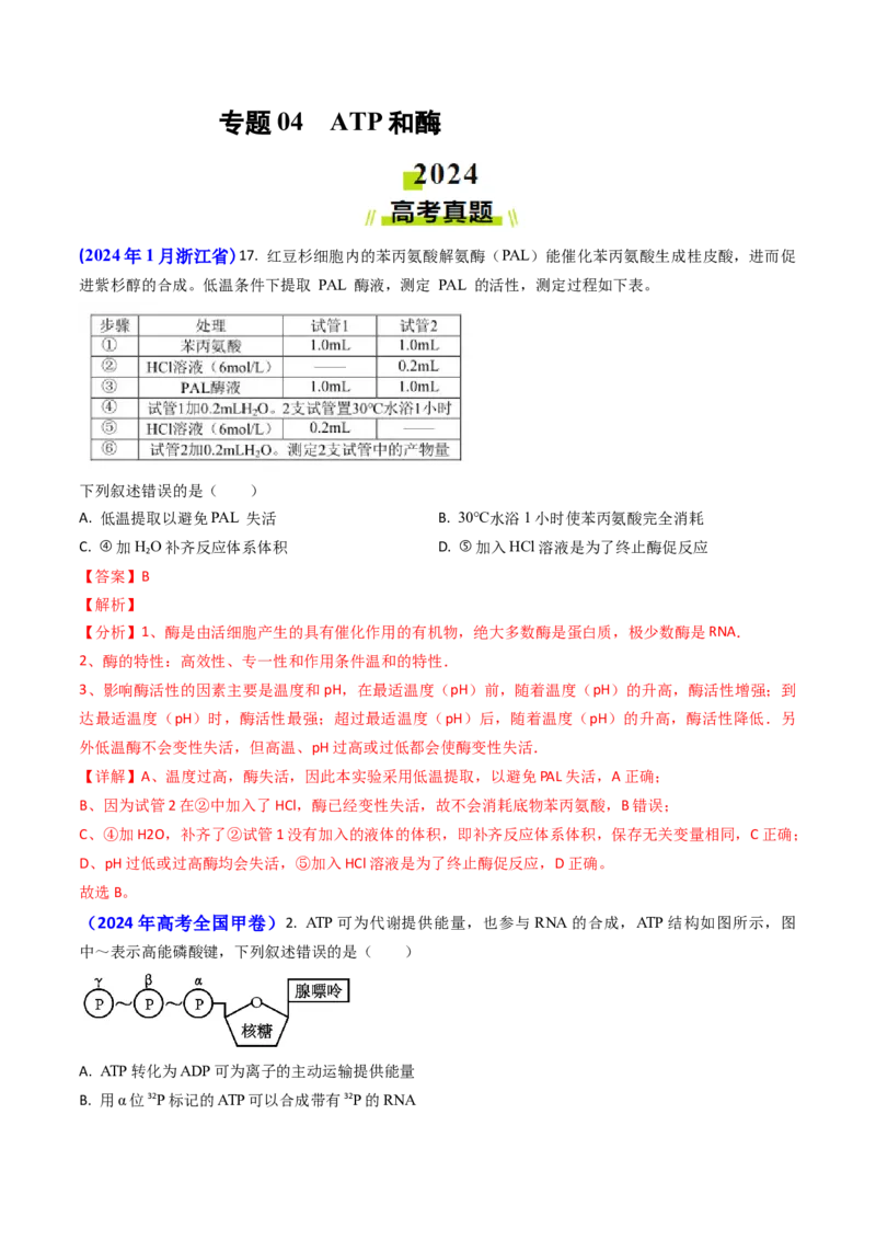 专题04ATP和酶2024年高考真题和模拟题生物分类汇编（教师卷）_近10年高考真题汇编（必刷）_十年（2014-2024）高考生物真题分项汇编（全国通用）
