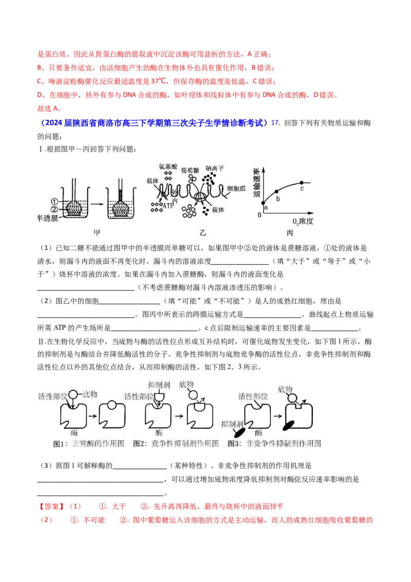 专题04ATP和酶2024年高考真题和模拟题生物分类汇编（教师卷）_近10年高考真题汇编（必刷）_十年（2014-2024）高考生物真题分项汇编（全国通用）
