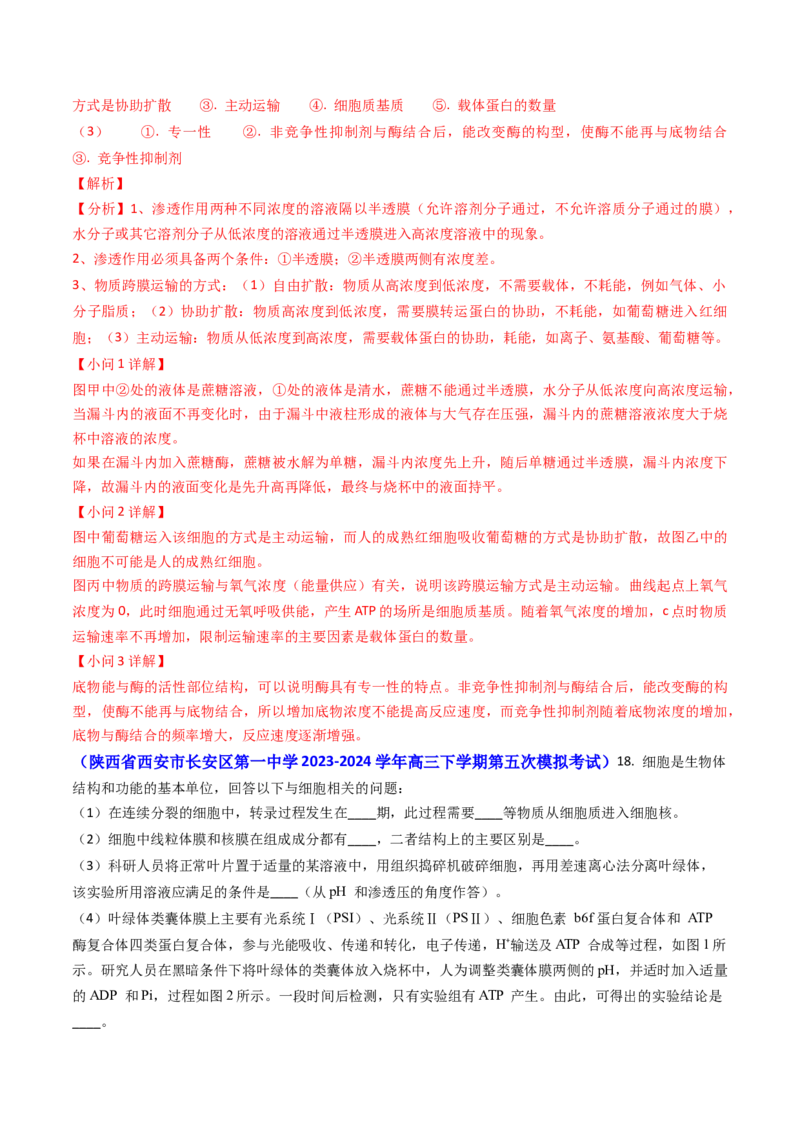 专题04ATP和酶2024年高考真题和模拟题生物分类汇编（教师卷）_近10年高考真题汇编（必刷）_十年（2014-2024）高考生物真题分项汇编（全国通用）