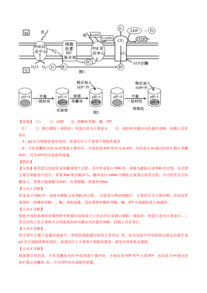 专题04ATP和酶2024年高考真题和模拟题生物分类汇编（教师卷）_近10年高考真题汇编（必刷）_十年（2014-2024）高考生物真题分项汇编（全国通用）