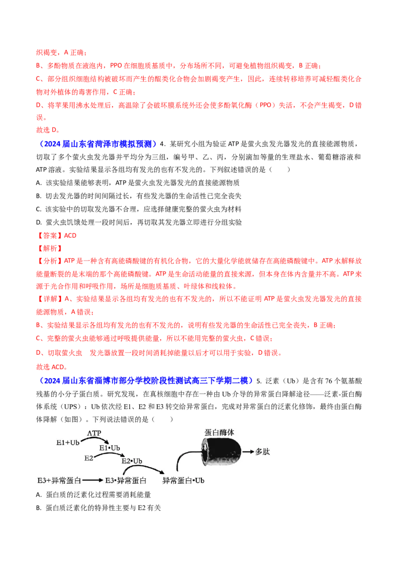 专题04ATP和酶2024年高考真题和模拟题生物分类汇编（教师卷）_近10年高考真题汇编（必刷）_十年（2014-2024）高考生物真题分项汇编（全国通用）