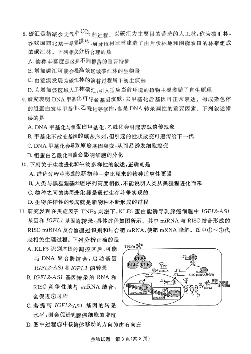 生物试卷（湛江一模）_2025年3月_250308广东省湛江市2025年高三普通高考测试（一）（全科）_广东省湛江市2025年普通高考测试（一）生物