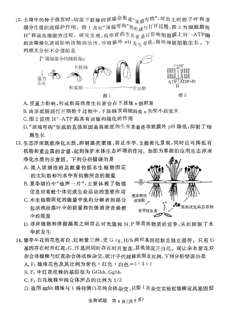 生物试卷（湛江一模）_2025年3月_250308广东省湛江市2025年高三普通高考测试（一）（全科）_广东省湛江市2025年普通高考测试（一）生物