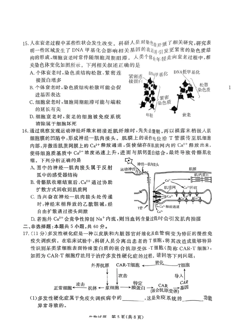 生物试卷（湛江一模）_2025年3月_250308广东省湛江市2025年高三普通高考测试（一）（全科）_广东省湛江市2025年普通高考测试（一）生物