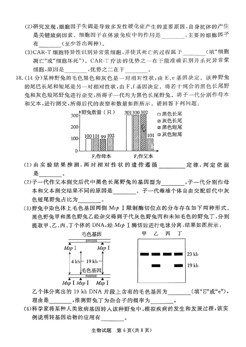 生物试卷（湛江一模）_2025年3月_250308广东省湛江市2025年高三普通高考测试（一）（全科）_广东省湛江市2025年普通高考测试（一）生物