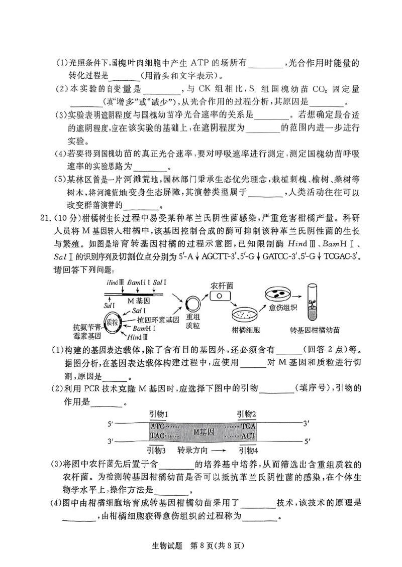 生物试卷（湛江一模）_2025年3月_250308广东省湛江市2025年高三普通高考测试（一）（全科）_广东省湛江市2025年普通高考测试（一）生物