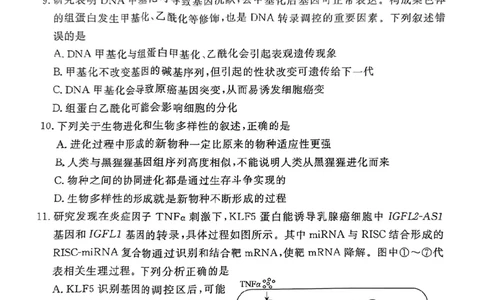 生物试卷（湛江一模）_2025年3月_250308广东省湛江市2025年高三普通高考测试（一）（全科）_广东省湛江市2025年普通高考测试（一）生物
