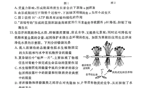 生物试卷（湛江一模）_2025年3月_250308广东省湛江市2025年高三普通高考测试（一）（全科）_广东省湛江市2025年普通高考测试（一）生物