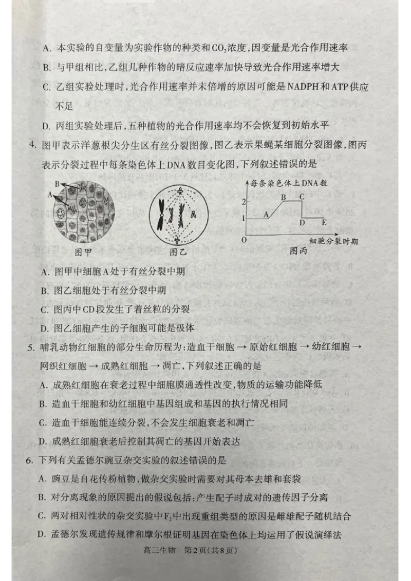 山西省吕梁市2024-2025学年高三上学期期末考试生物试题_2025年1月_250123山西省吕梁市2024-2025学年高三上学期期末调研考试试题（全科）
