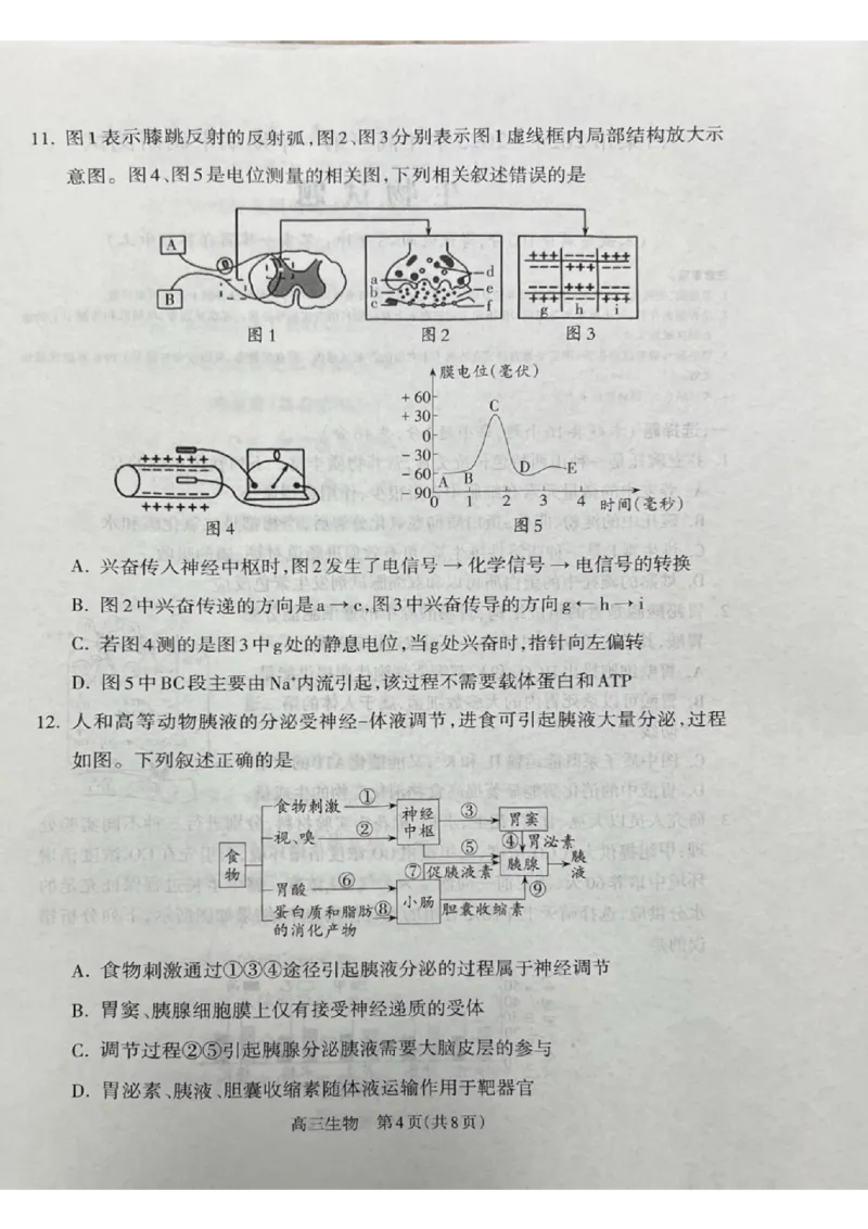 山西省吕梁市2024-2025学年高三上学期期末考试生物试题_2025年1月_250123山西省吕梁市2024-2025学年高三上学期期末调研考试试题（全科）