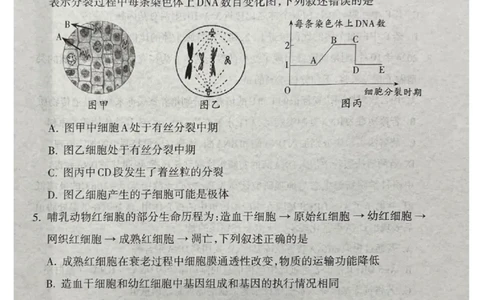 山西省吕梁市2024-2025学年高三上学期期末考试生物试题_2025年1月_250123山西省吕梁市2024-2025学年高三上学期期末调研考试试题（全科）