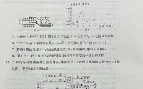 山西省吕梁市2024-2025学年高三上学期期末考试生物试题_2025年1月_250123山西省吕梁市2024-2025学年高三上学期期末调研考试试题（全科）