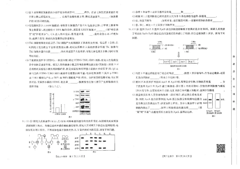 四川省金太阳2025届高三2月开学考试生物试卷+答案_2025年2月_250220四川省金太阳2025届高三2月开学考试（319C）（全科）