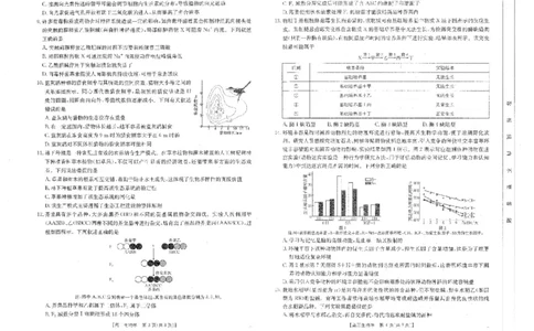 四川省金太阳2025届高三2月开学考试生物试卷+答案_2025年2月_250220四川省金太阳2025届高三2月开学考试（319C）（全科）
