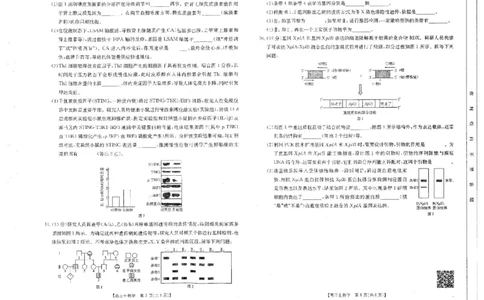 四川省金太阳2025届高三2月开学考试生物试卷+答案_2025年2月_250220四川省金太阳2025届高三2月开学考试（319C）（全科）