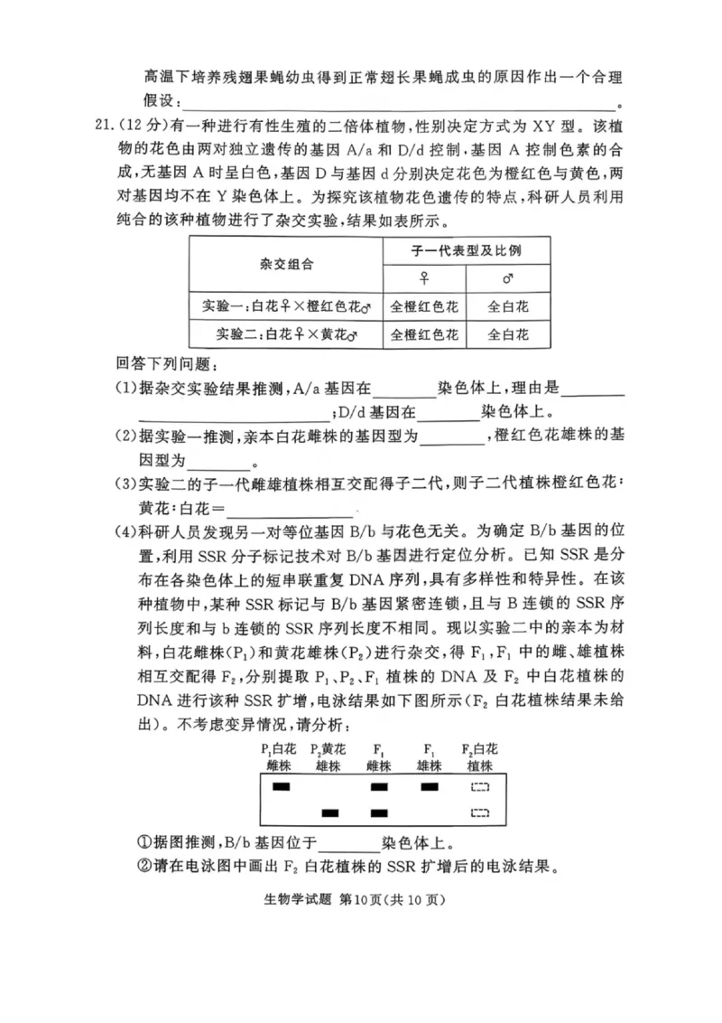 湘豫名校联考2025年11月高三一轮复习诊断考试生物_2025年11月_251125湘豫名校联考2025年11月高三一轮复习诊断考试（全科）