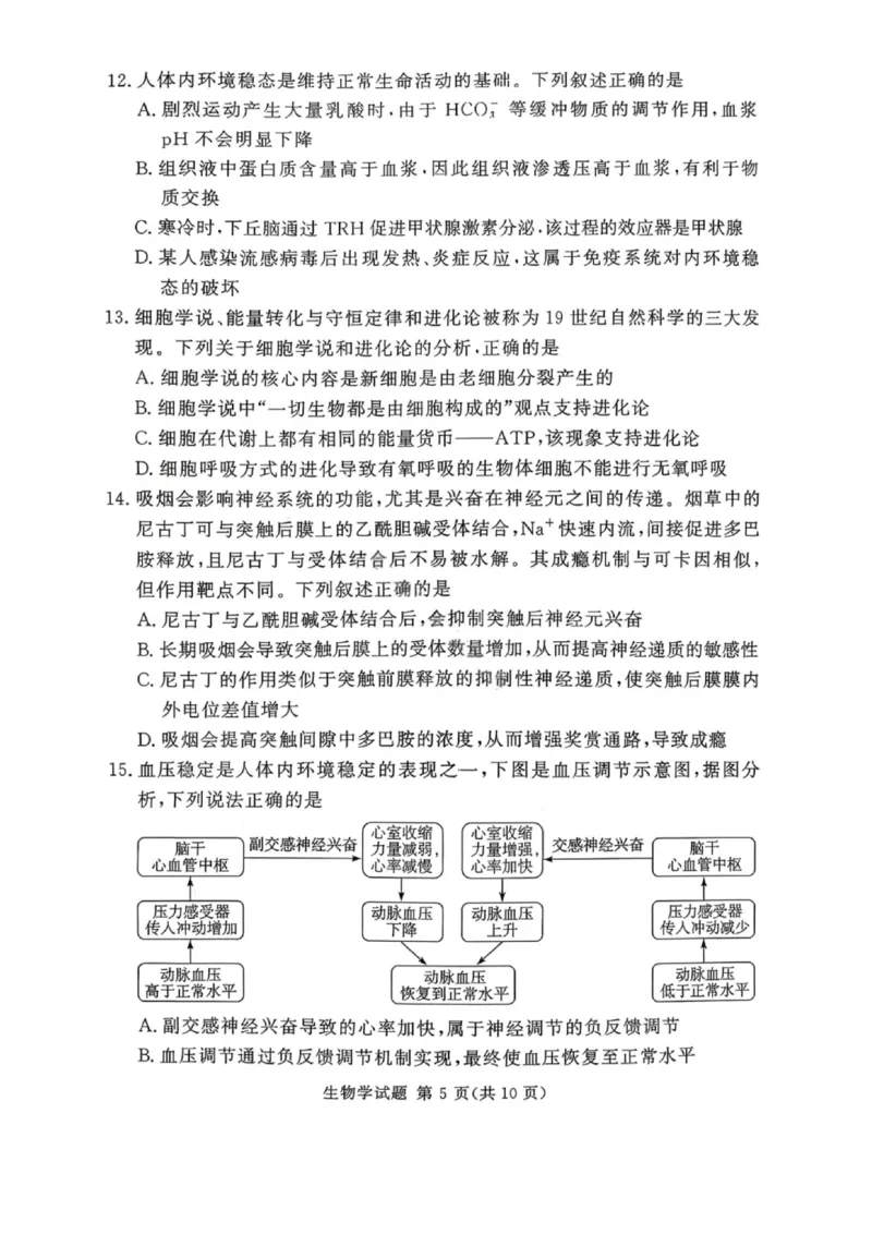 湘豫名校联考2025年11月高三一轮复习诊断考试生物_2025年11月_251125湘豫名校联考2025年11月高三一轮复习诊断考试（全科）