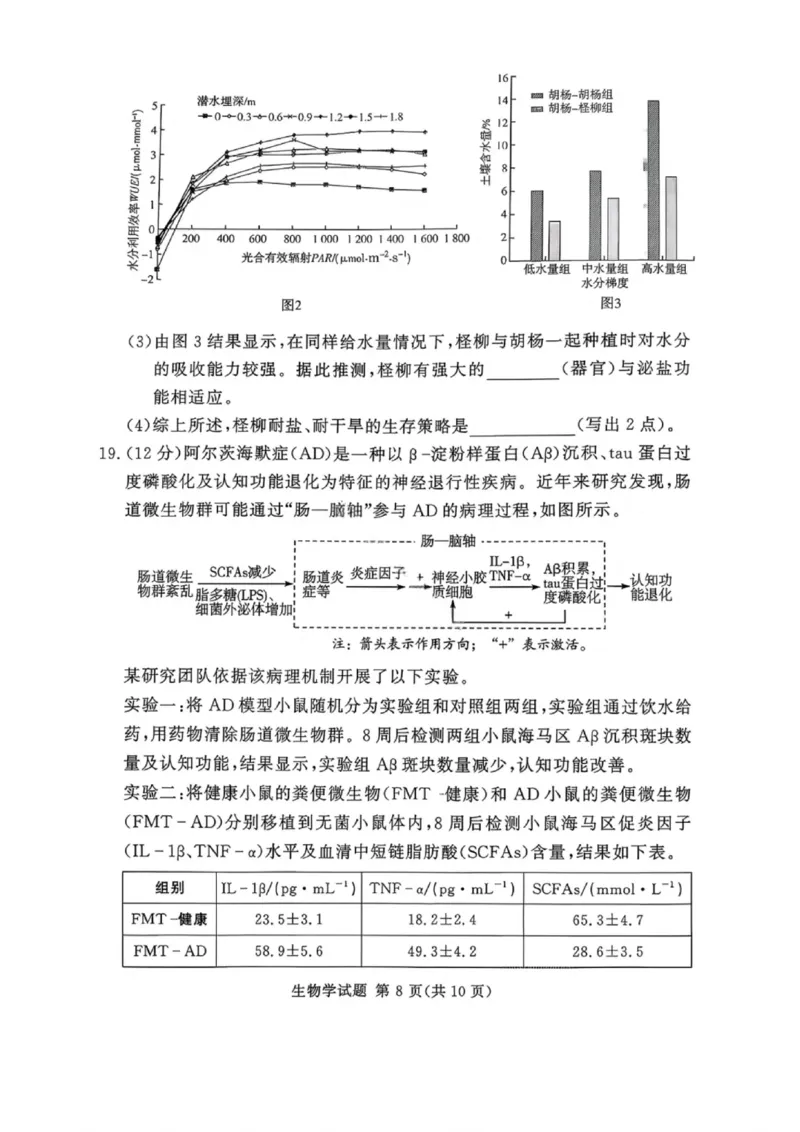 湘豫名校联考2025年11月高三一轮复习诊断考试生物_2025年11月_251125湘豫名校联考2025年11月高三一轮复习诊断考试（全科）