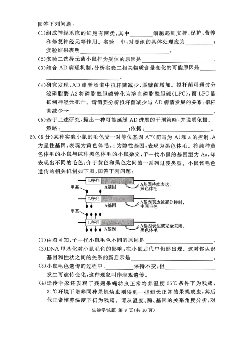 湘豫名校联考2025年11月高三一轮复习诊断考试生物_2025年11月_251125湘豫名校联考2025年11月高三一轮复习诊断考试（全科）